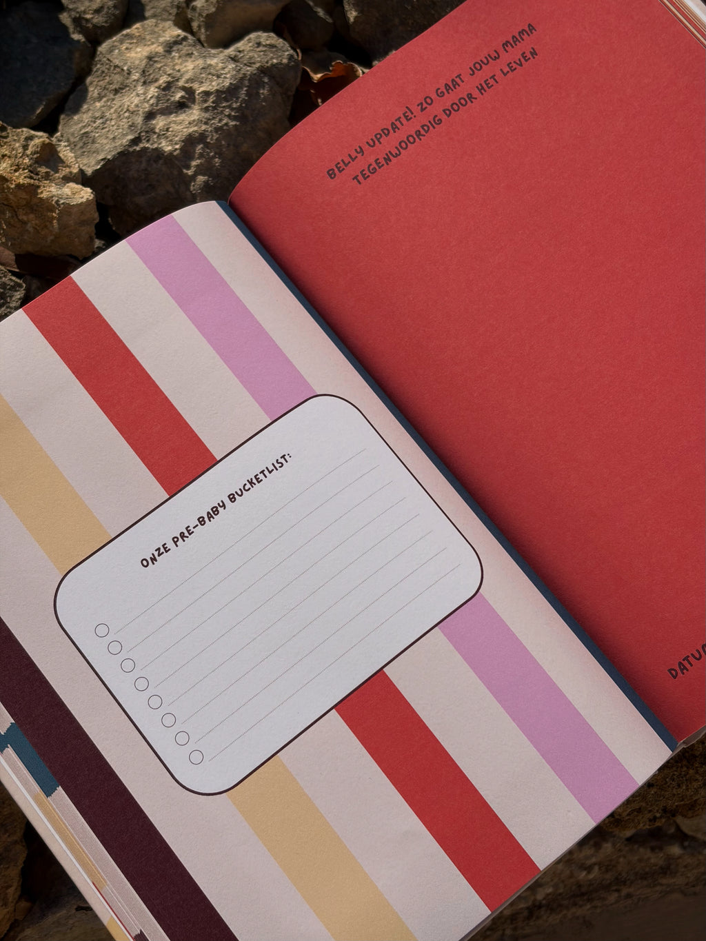 Voix Studio Zwangerschapsinvulboek – My Pregnancy Story STARS