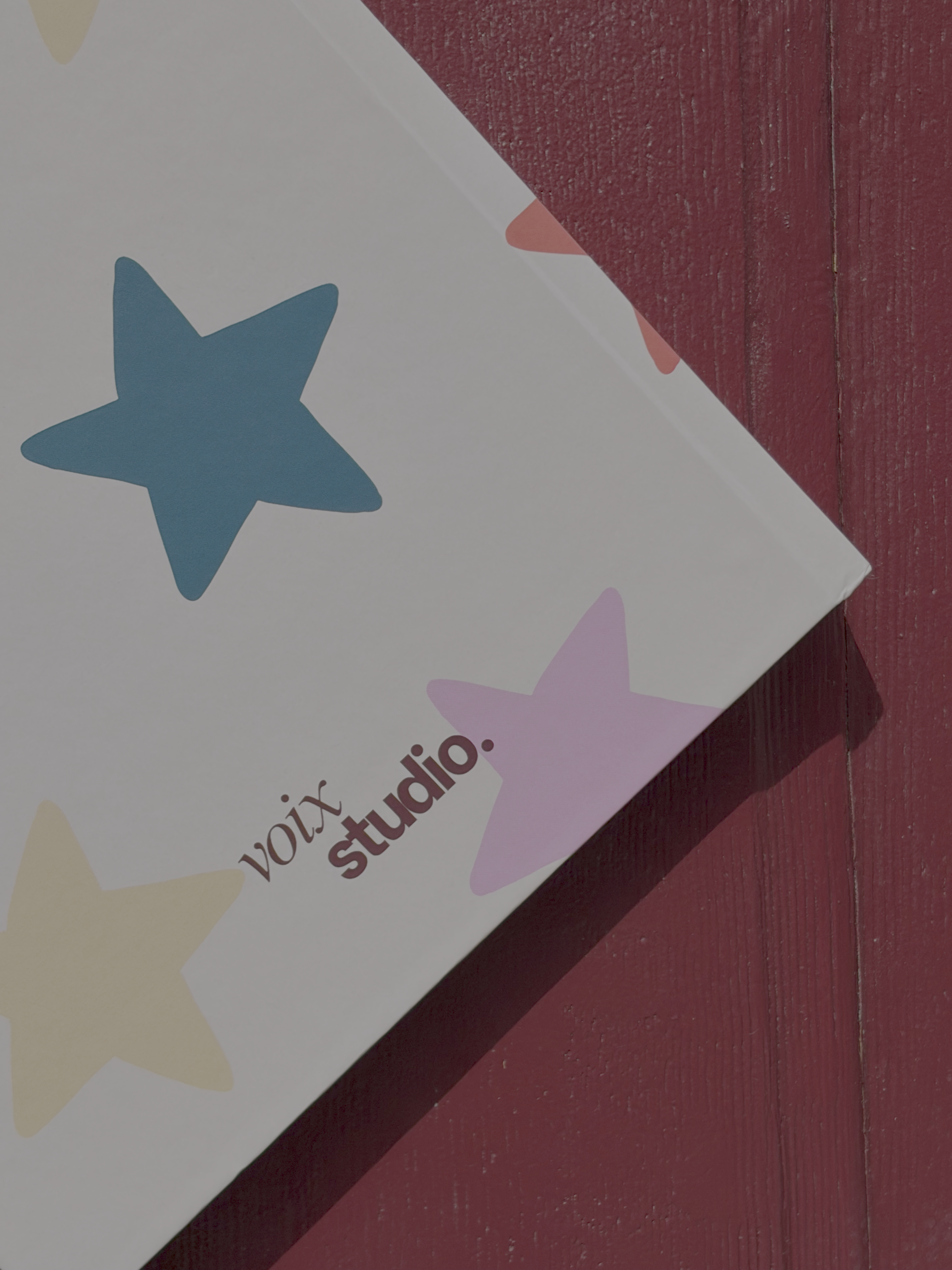 My Pregnancy Story - STARS