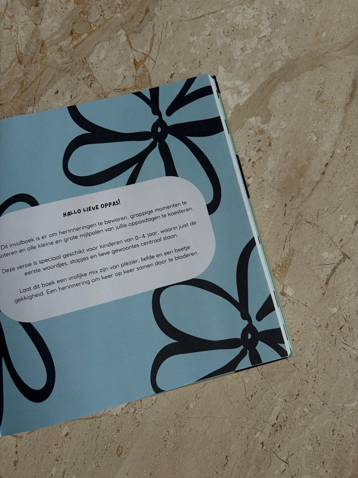 Voix Studio Oppasboek – My Babysitting Story SWIRL